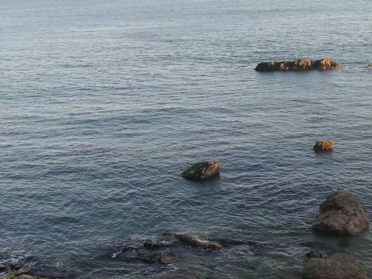 HR（人力资源、人事），为什么都那么卑躬屈膝？ (图1)