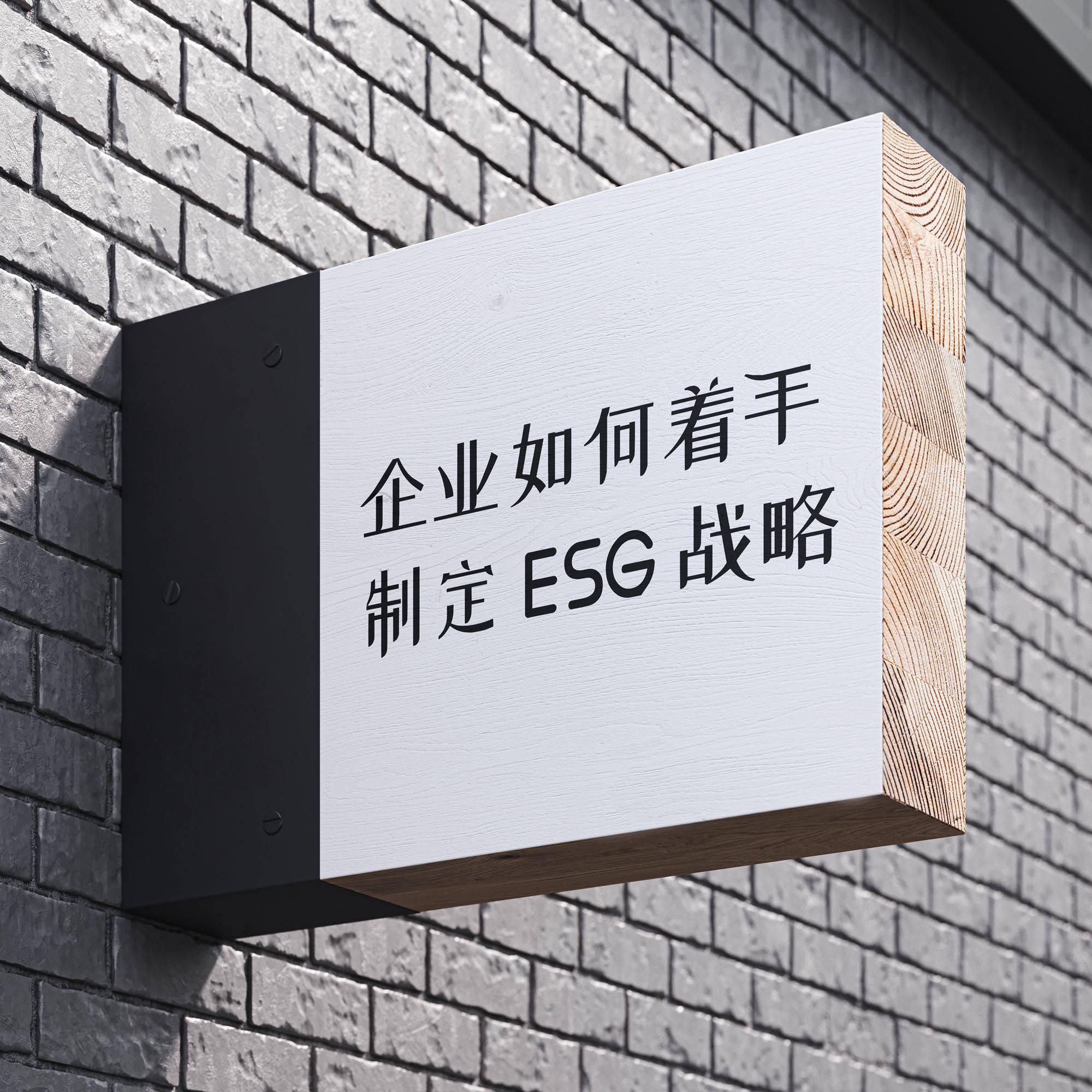 如何着手制定 ESG 战略？ (图1)