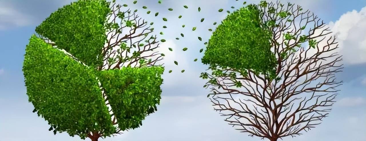 公司股权分配的七大简明实操建议！ (图1)