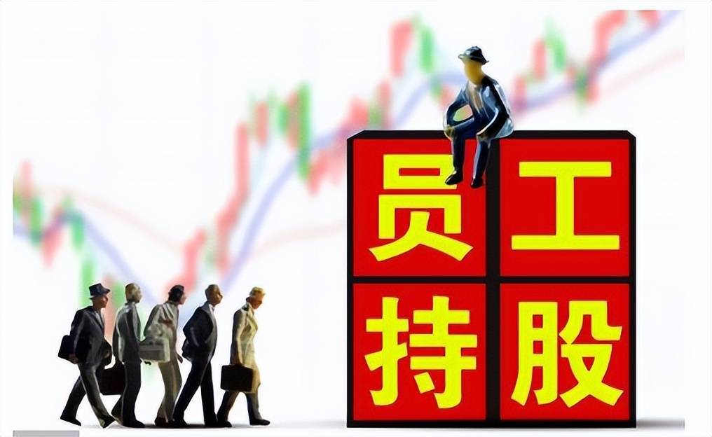 老板如何合理、科学的应用股权激励?! (图3) 老板如何合理、科学的应用股权激励?! (图3)