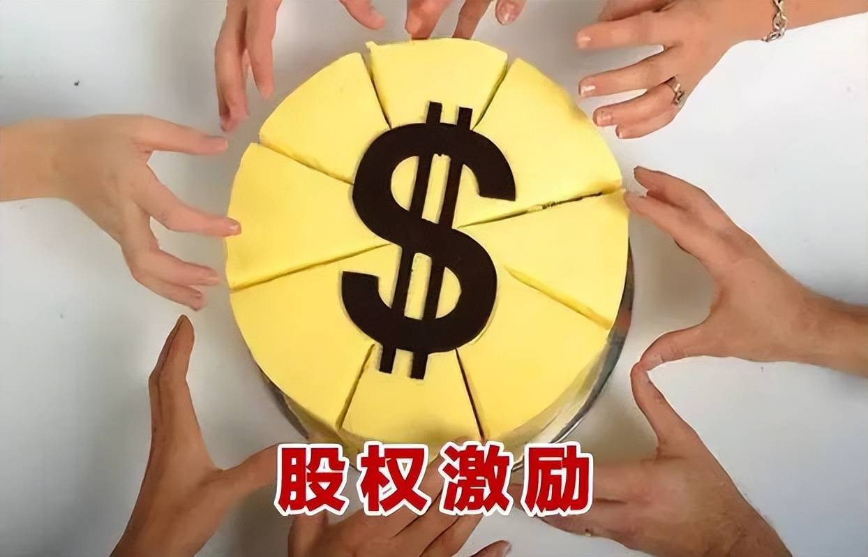 老板如何合理、科学的应用股权激励?! (图1) 老板如何合理、科学的应用股权激励?! (图1)