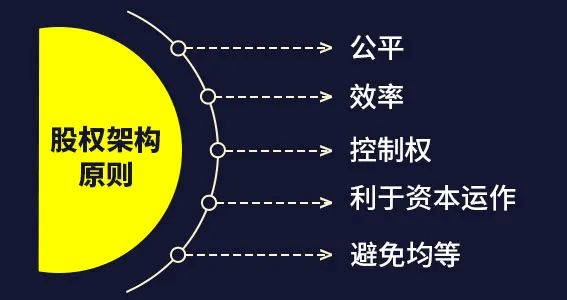 读懂股权顶层架构设计:一元架构、二元架构与多元架构(图1) 读懂股权顶层架构设计:一元架构、二元架构与多元架构(图1)