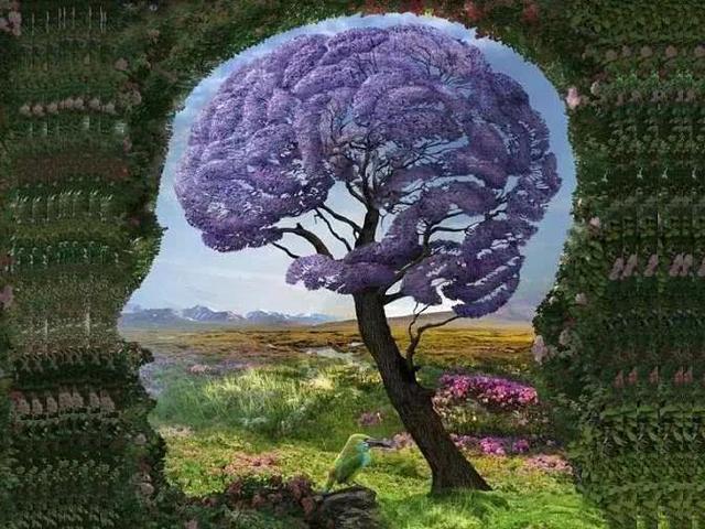 努力就能获得财富？错！这4种稀缺的思维，让你少跳大部分的坑(图2)