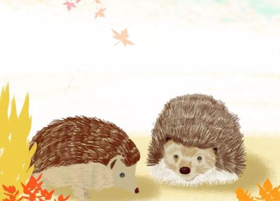 刺猬法则：亲密不能无间，管理下属的最佳方式是，保有一定距离(图1)