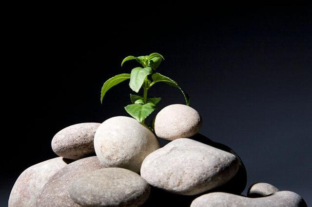 真正挣过大钱的人，会隐藏起这4个财富思维，学到就是赚到(图7)