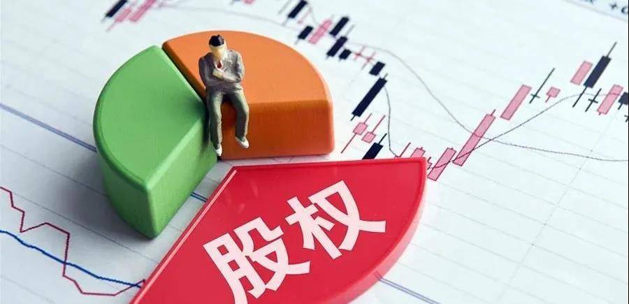 股权激励方案设计:股权激励方案设计方法(图2)