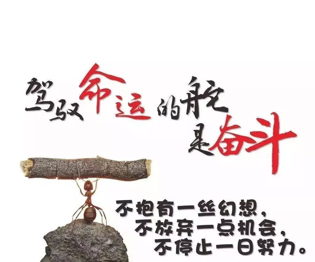 公司“股权”和“控制权”的关系 (图1)