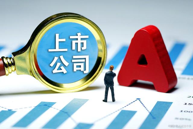 公司上市前原始股如何分配？(图3)