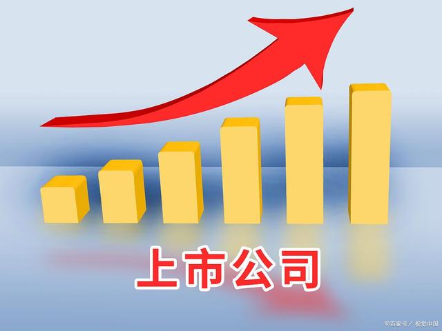 公司上市前原始股如何分配？(图1)